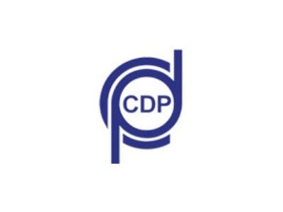 COMPANHIA DOCAS DO PARÁ